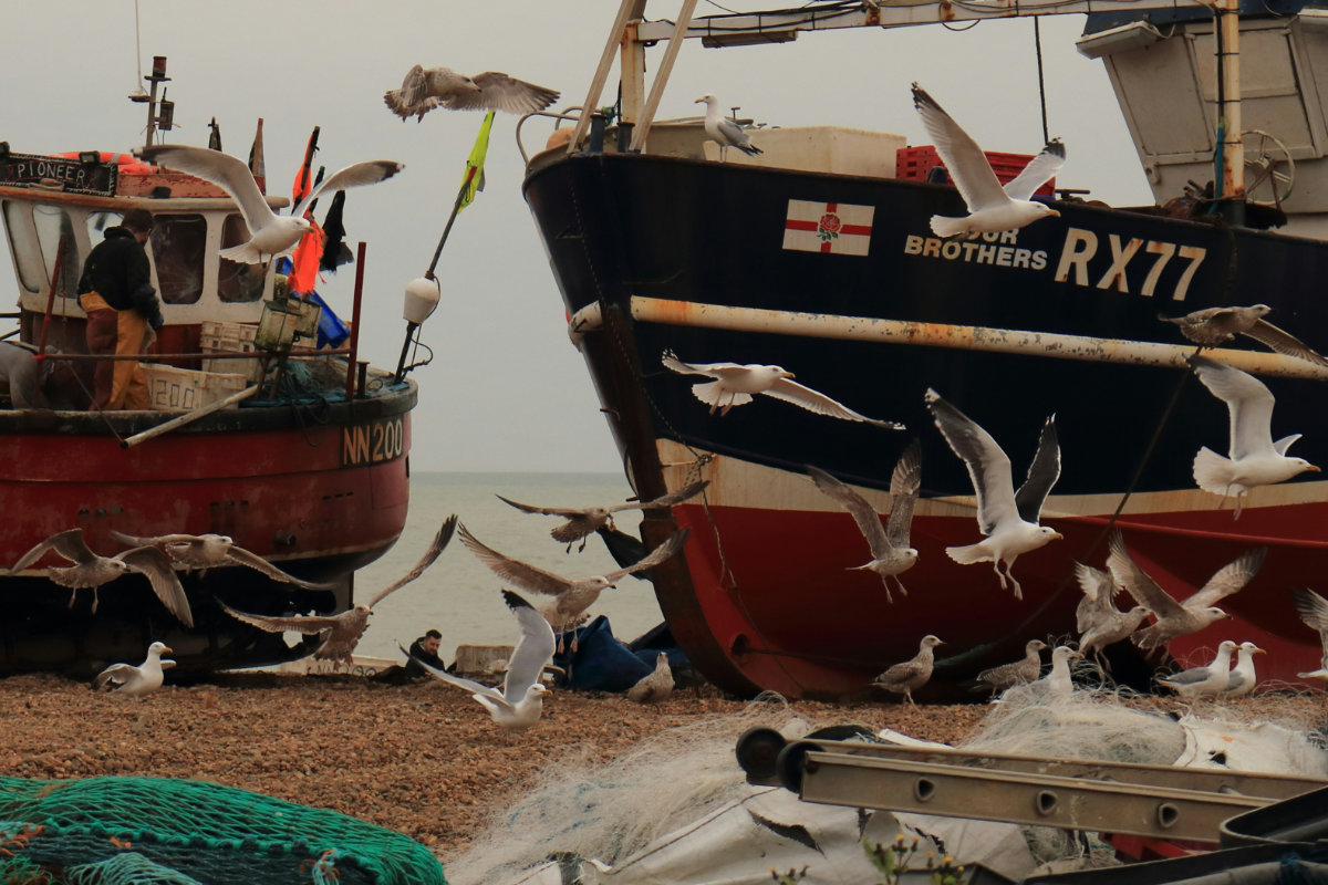 A wooden fishing boat hauled up on the shingle